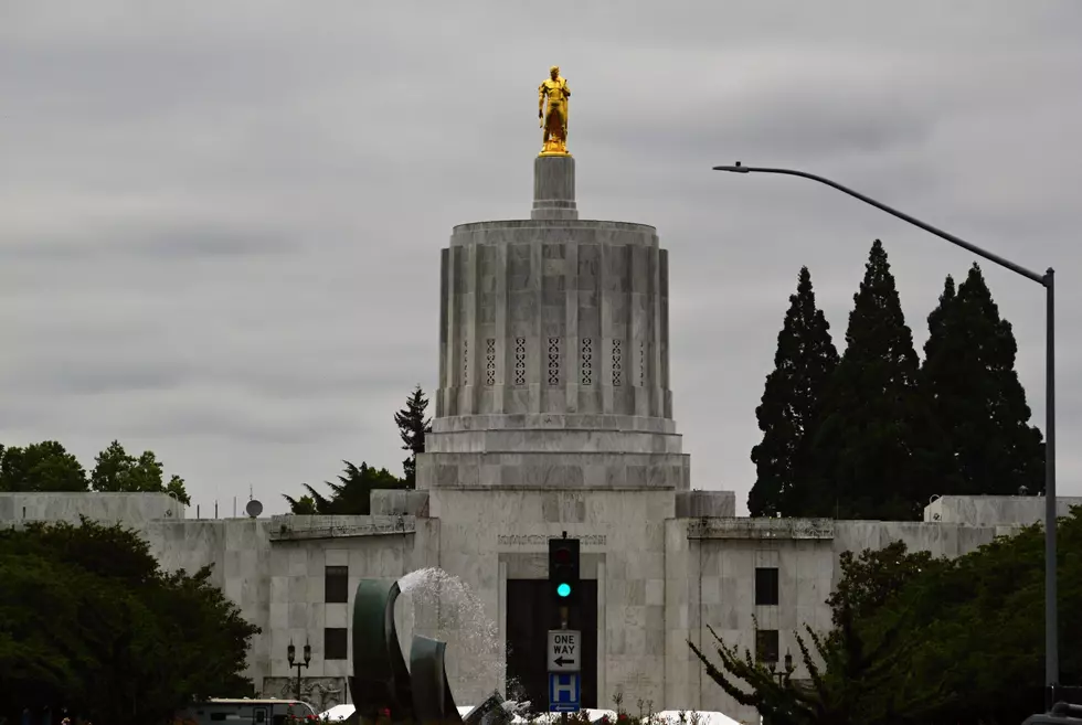 Oregon Lawmakers Look At Pushing Pause Button On Factory Farms